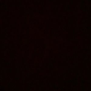 Meet your Posher, Mona